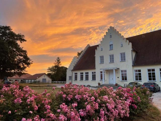 Boutique Hotel Gut Tribbevitz Neuenkirchen auf Rugen Exterior foto